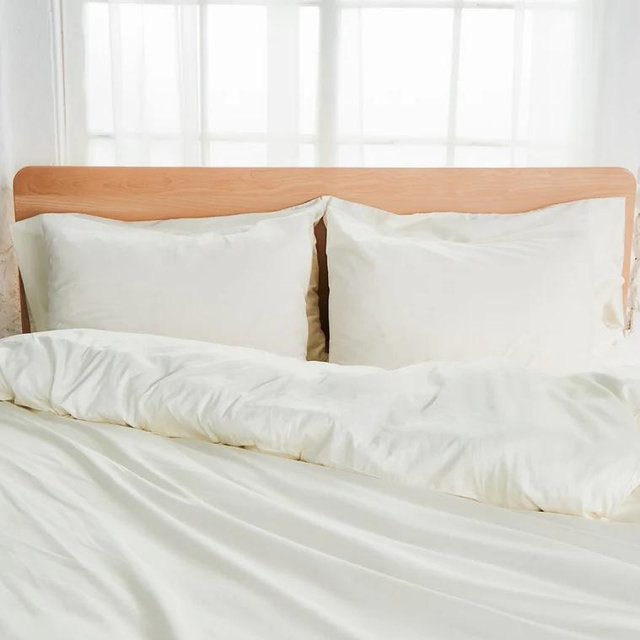 Sateen Organic Cotton Shams 300TC