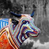 Shepparton Moooving Art