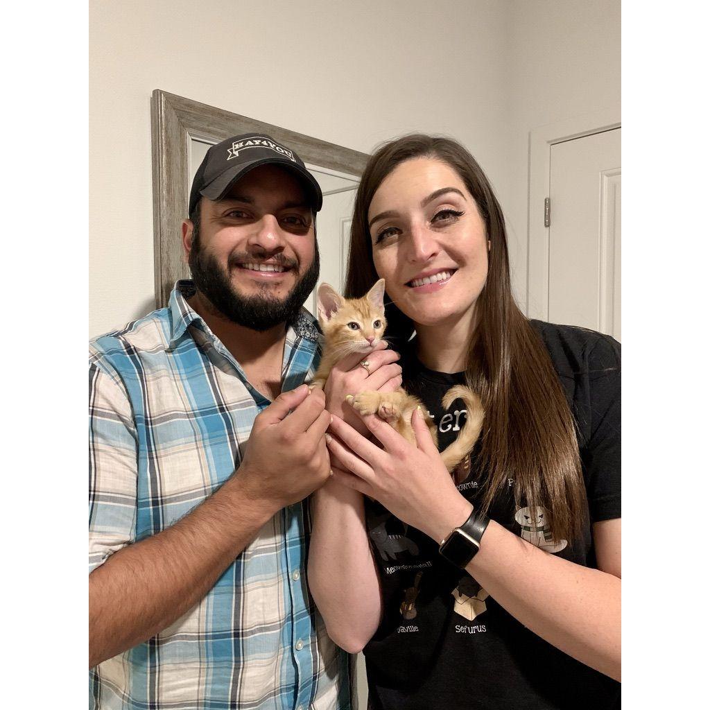 Alani, our first kitten we adopted together.