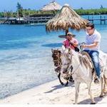 Snorkel, Kayak and Horseback Adventure
