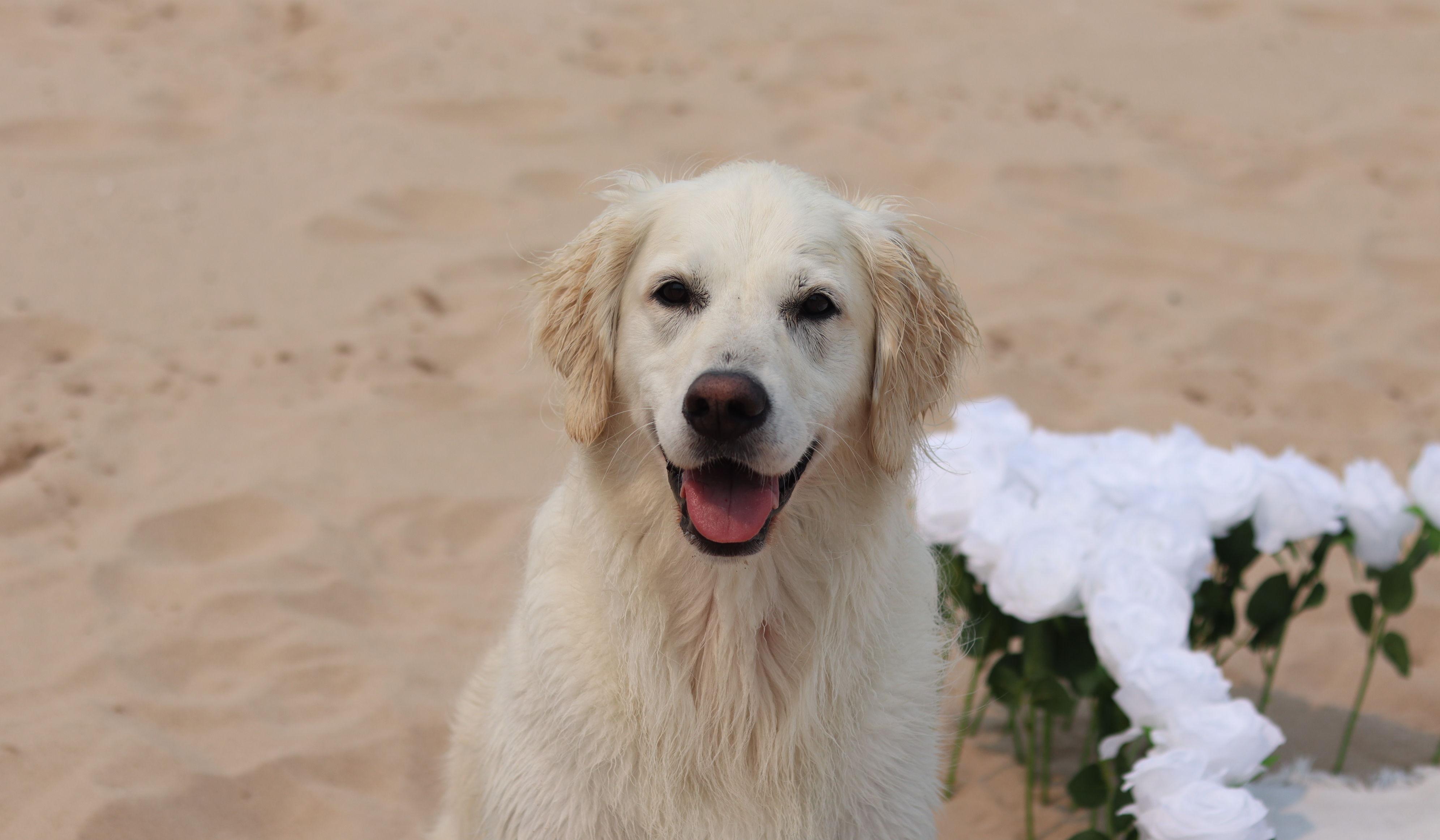 Hero Slideshow Image 3