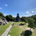 Tikal Ruins (Flight or 8+ hr drive)