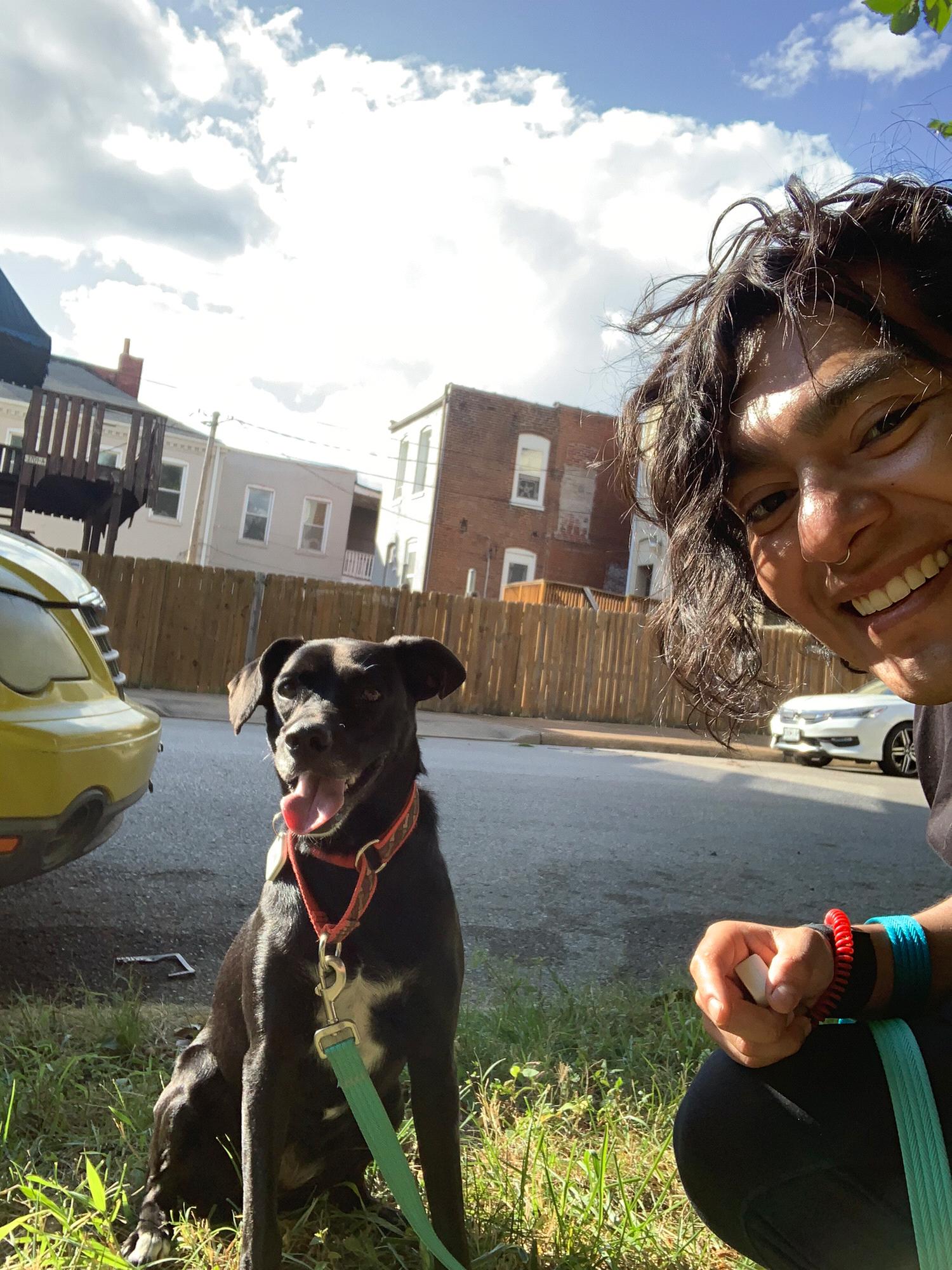 Our beautiful dog, Bailey Boo