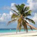 Paradise Beach