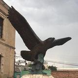 Museo de Las Aves de México
