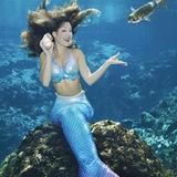 Weeki Wachee Springs State Park