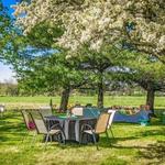 Cherry Grove Farm