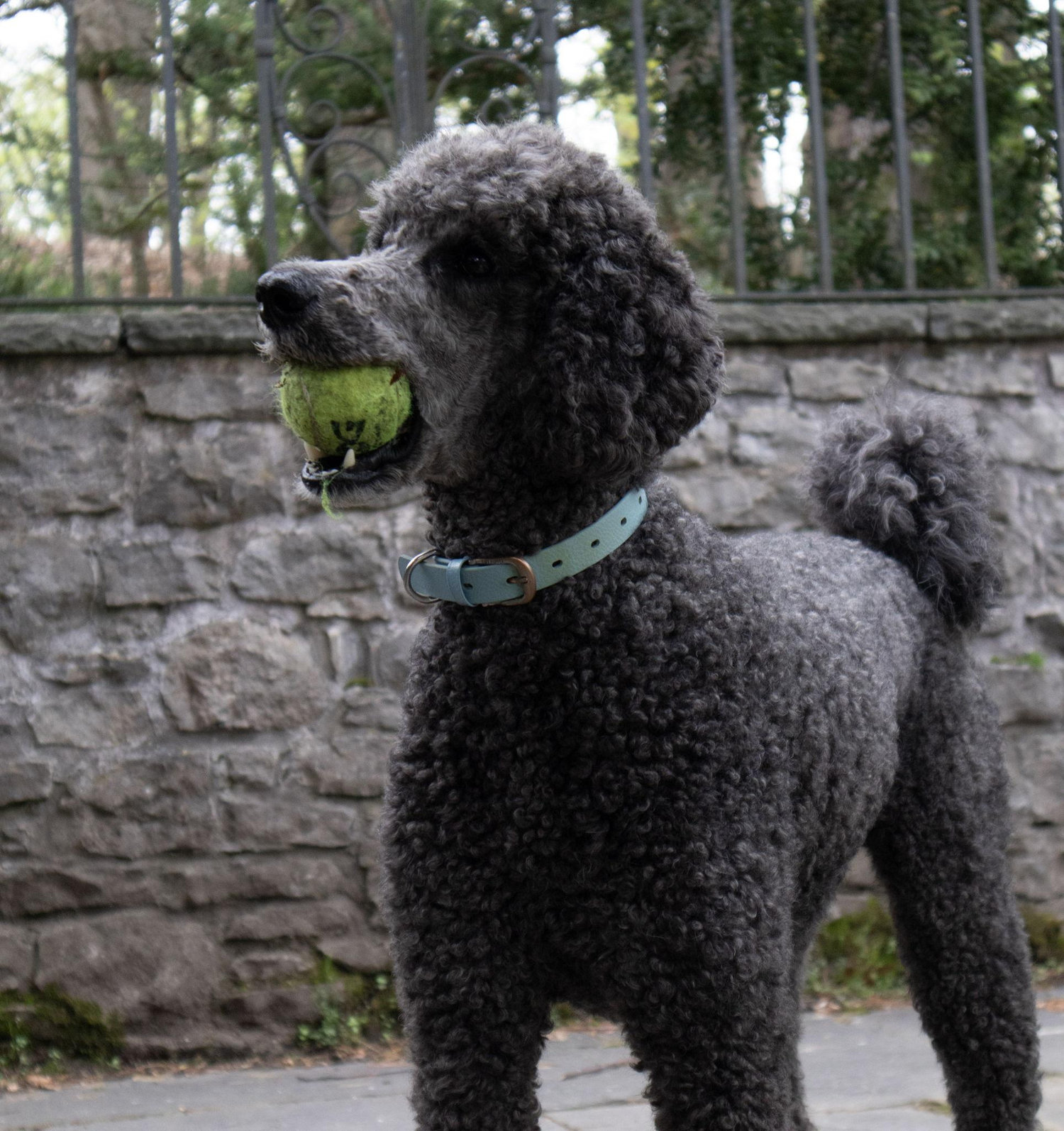 The Wedding Website of Nik Page and Liam O'Malley