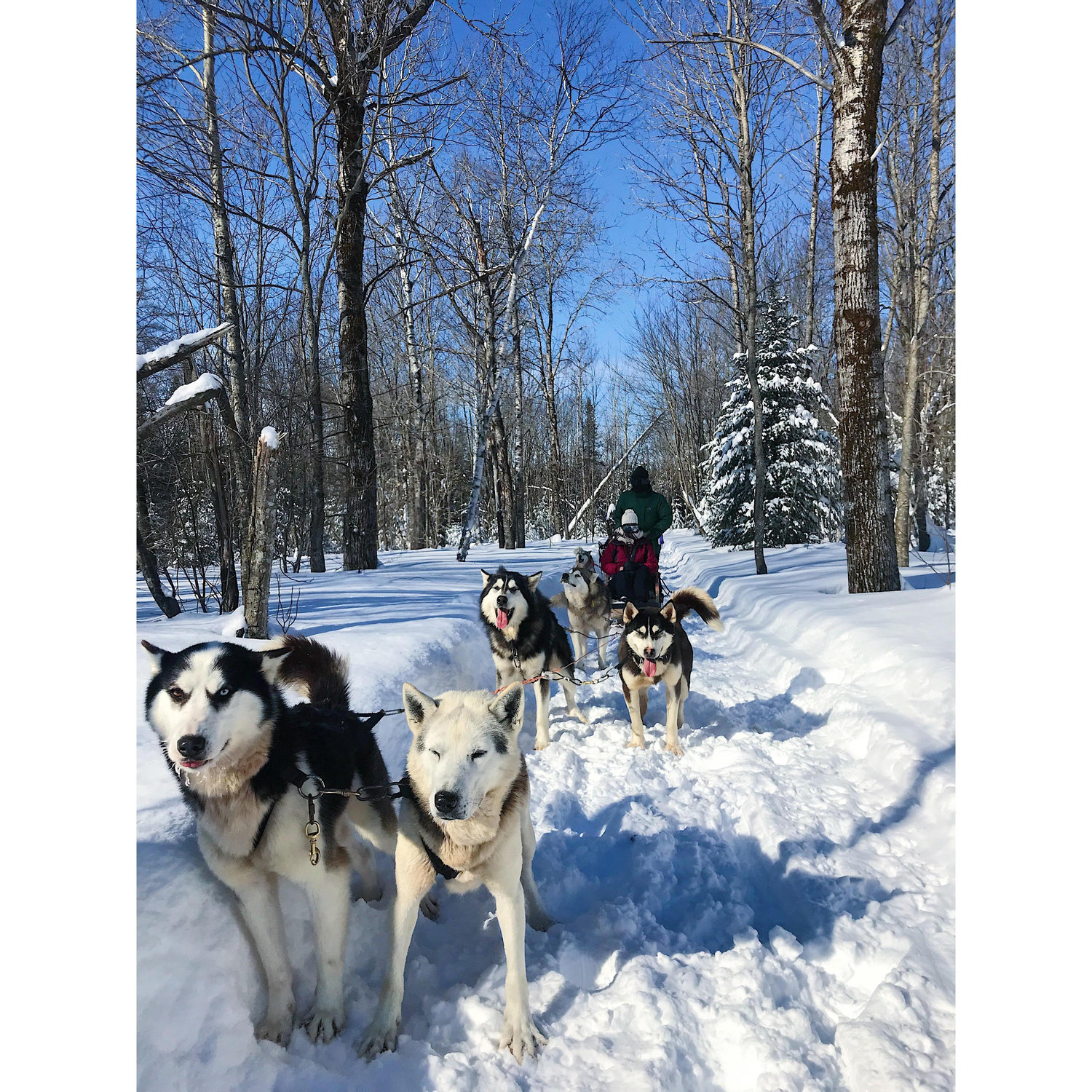 Our yearly Montreal and Quebec trips that we love