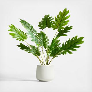 Potted Faux Philodendron Plant