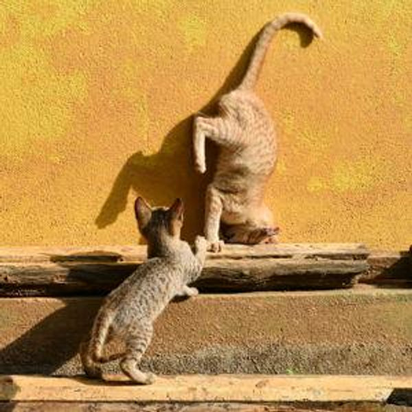 Dance Lessons For Two