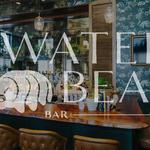 Water Bear Bar
