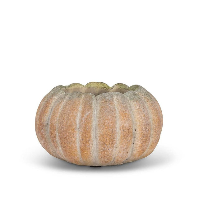 Abbott Collection Small Low Cement Pumpkin Indoor and Outdoor Planter Pot (5.5" W, 3.5" Opening)