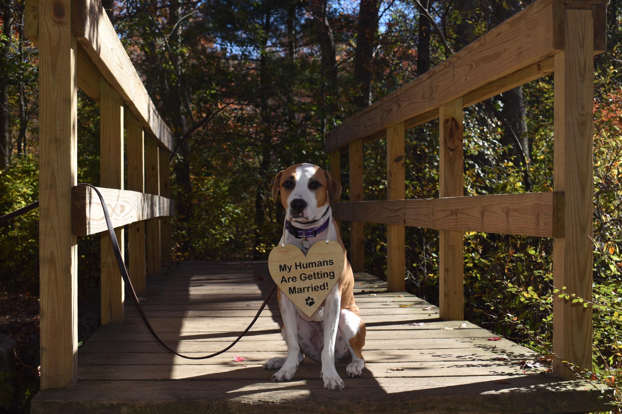 The Princess - Shiloh