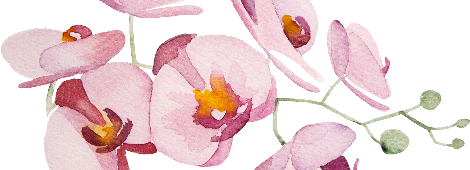 fc901a59-7071-42cb-87a8-47ea556f254c