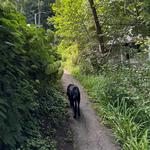 Lakefront Trail