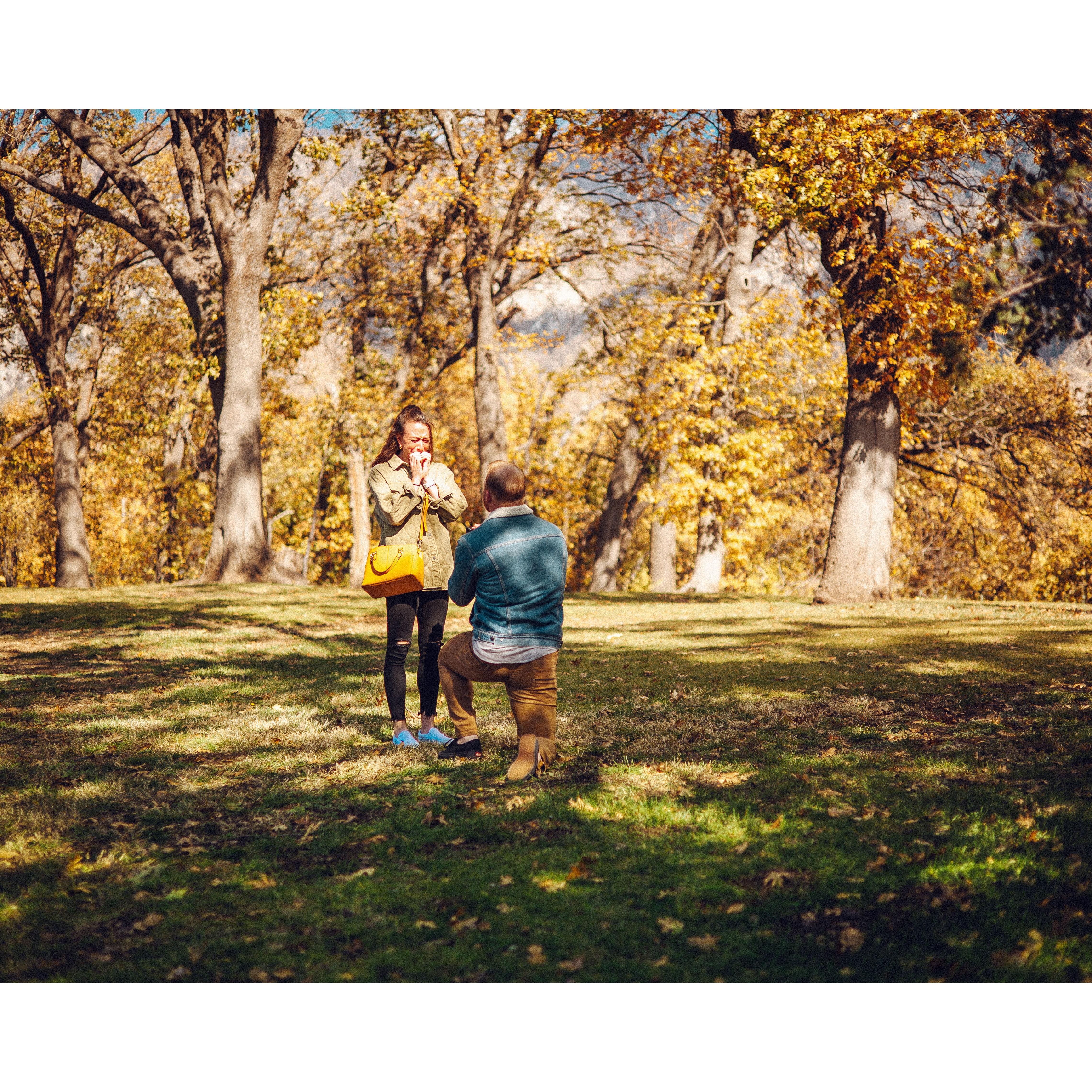 The moment Steven proposed