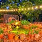 Cosmic Coffee + Beer Garden