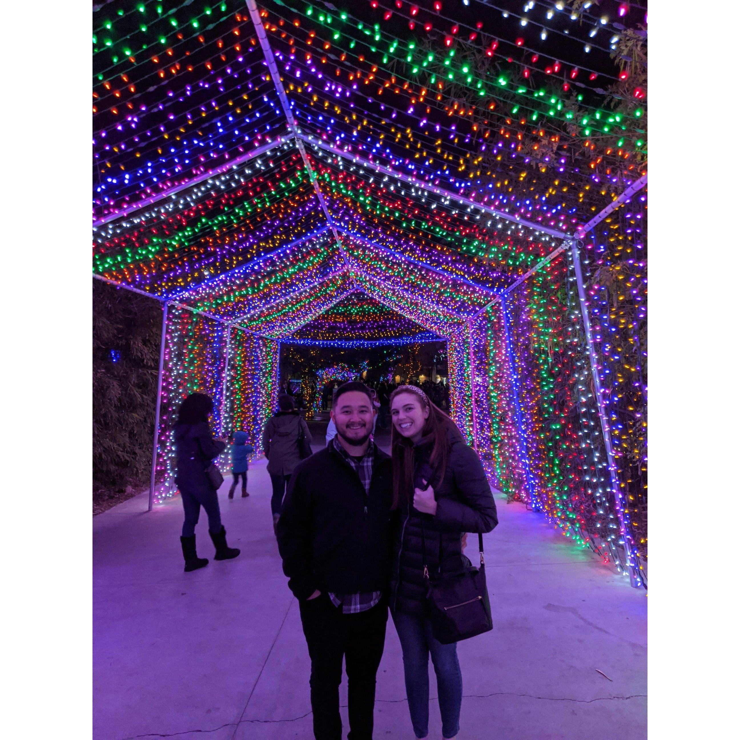 2019 Zoo Lights