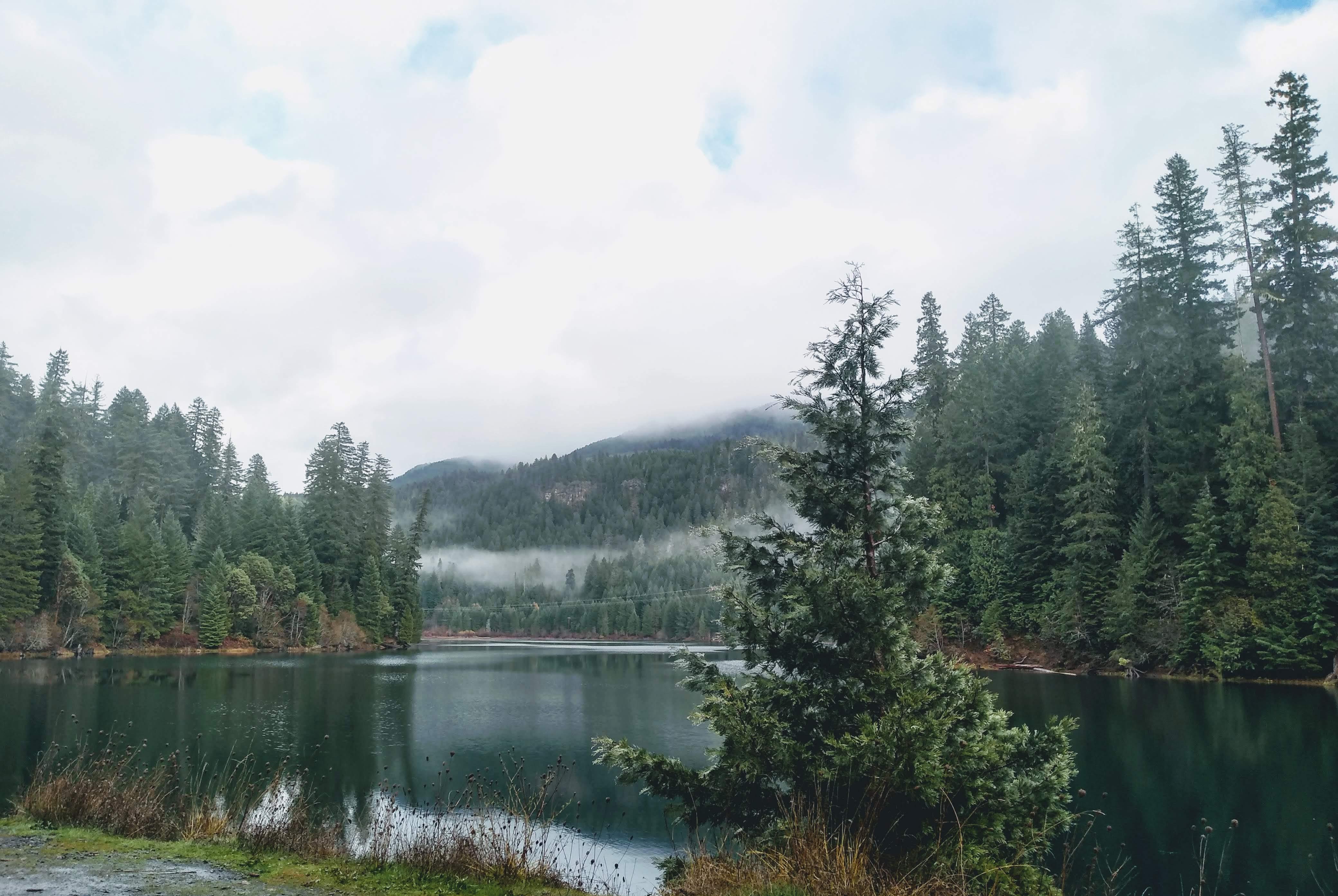 The Wedding Website of Celeste Huffaker and Michael Asch