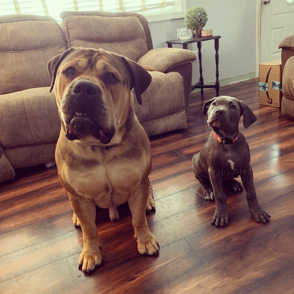 Our big stinky babies!