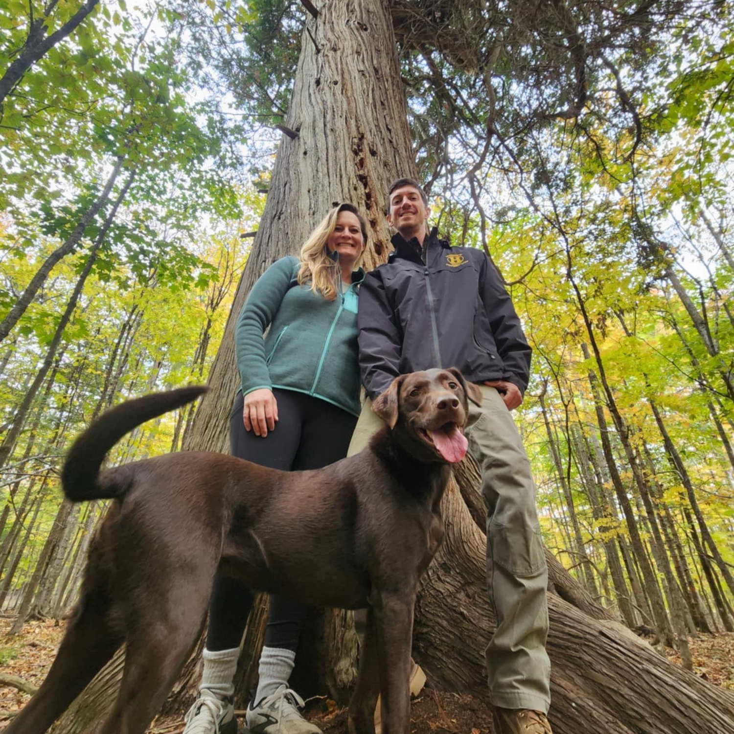 Largest Cedar in Michigan