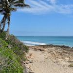 Chastain Beach