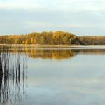 Jezioro Strzeszyńskie