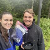 Pick Blueberries