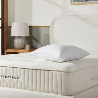 Hypoallergenic Microfiber Cambric Cotton Euro Pillow Insert