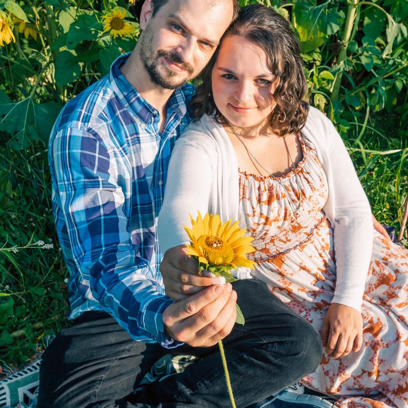 Sunflower shoot