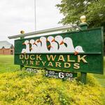 Duck Walk Vineyard