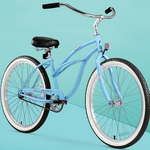 Bike Rentals