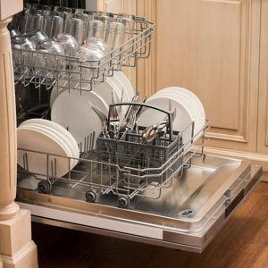 Dishwasher and Plumbing Installation