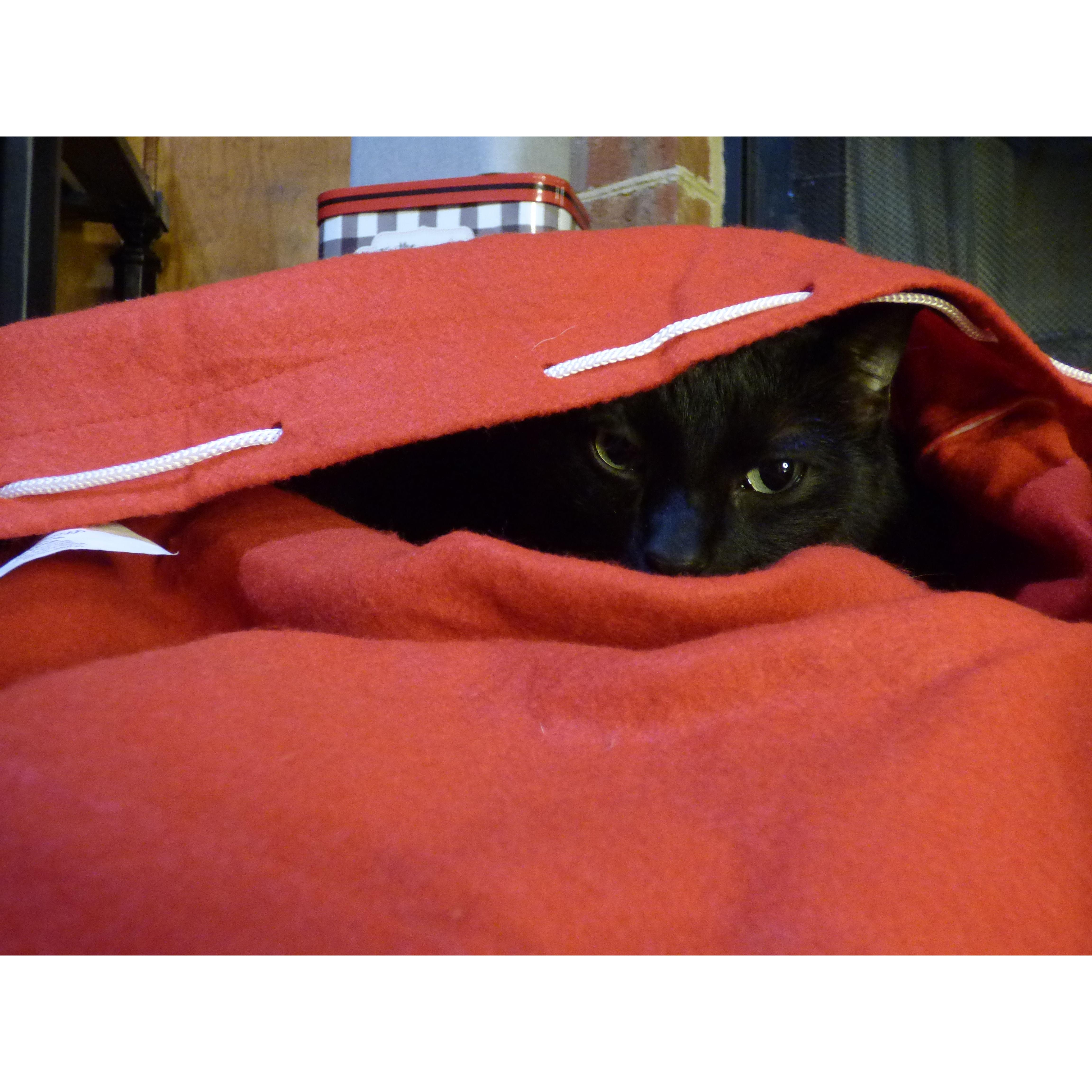 Charlie is SO over our shenanigans