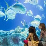South Carolina Aquarium