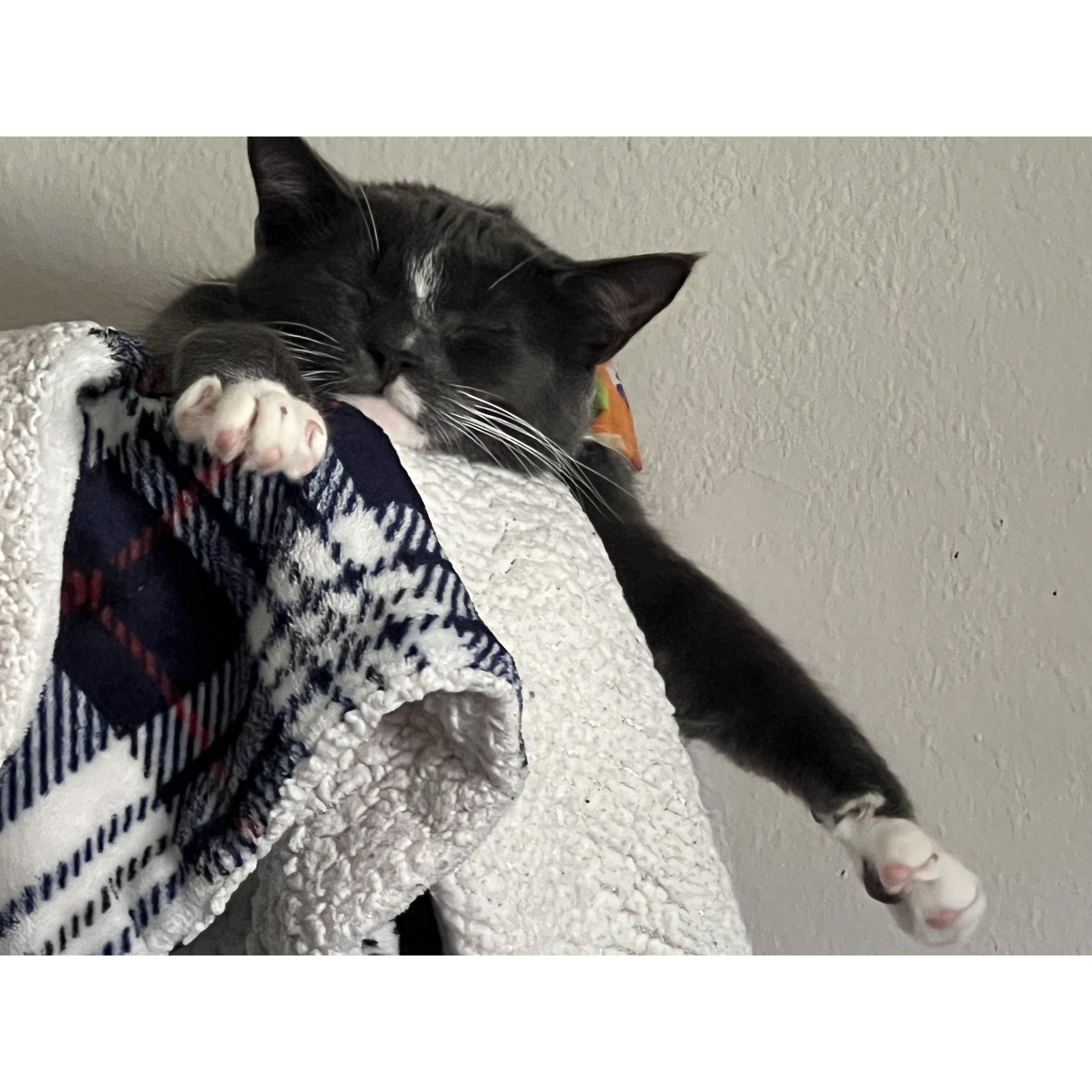 He's asleep 80% of the time