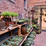 The Potting Shed by Carlisle