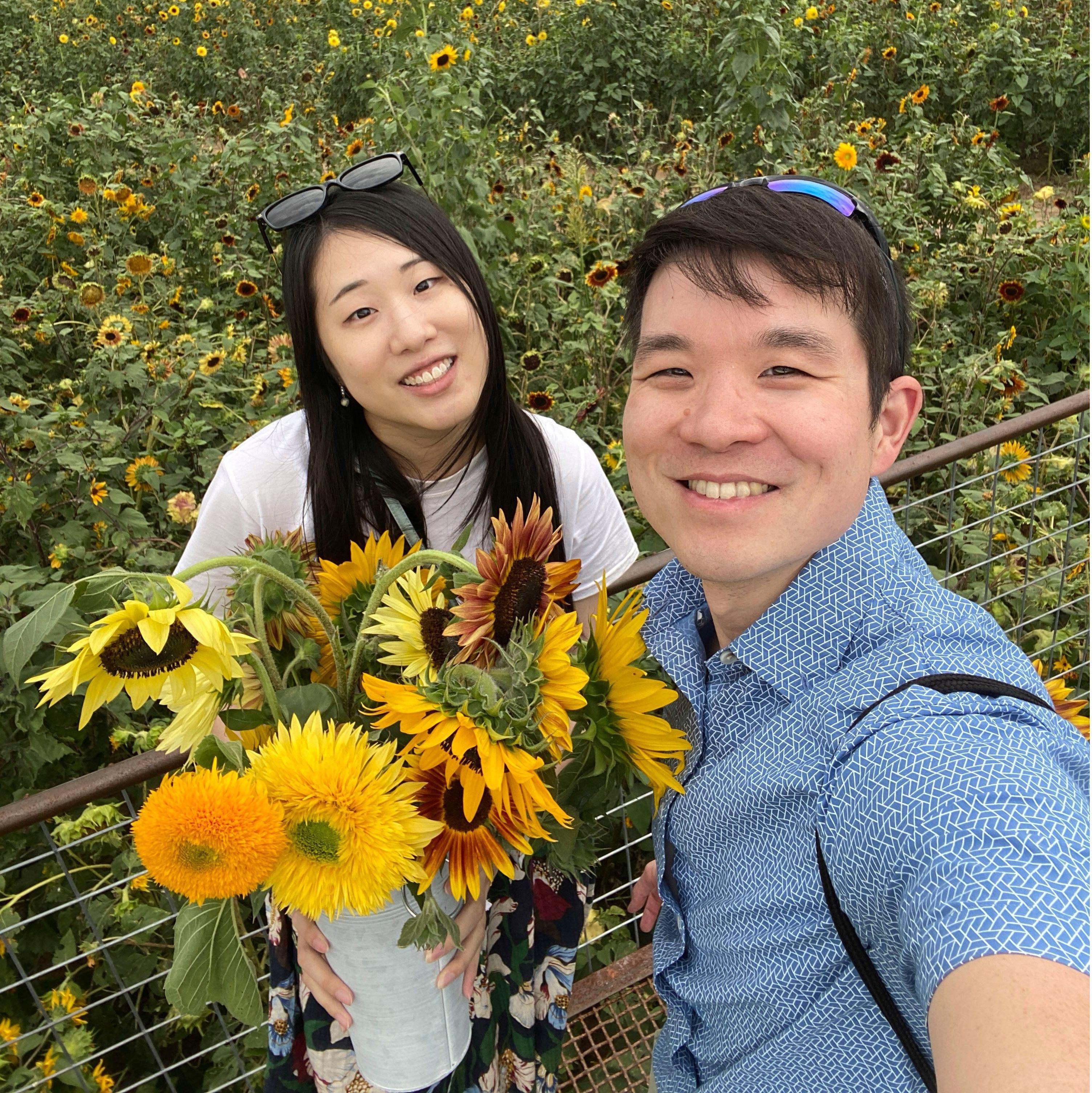 Sunflower farm! Just like sunshine in Colorado.