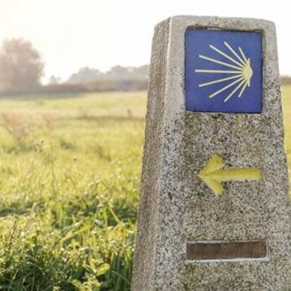 El Camino de Santiago