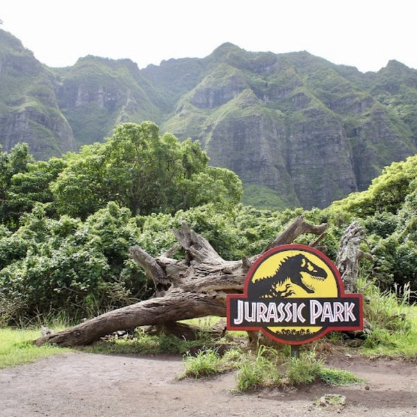 ATV experience & jurassic Park tour
