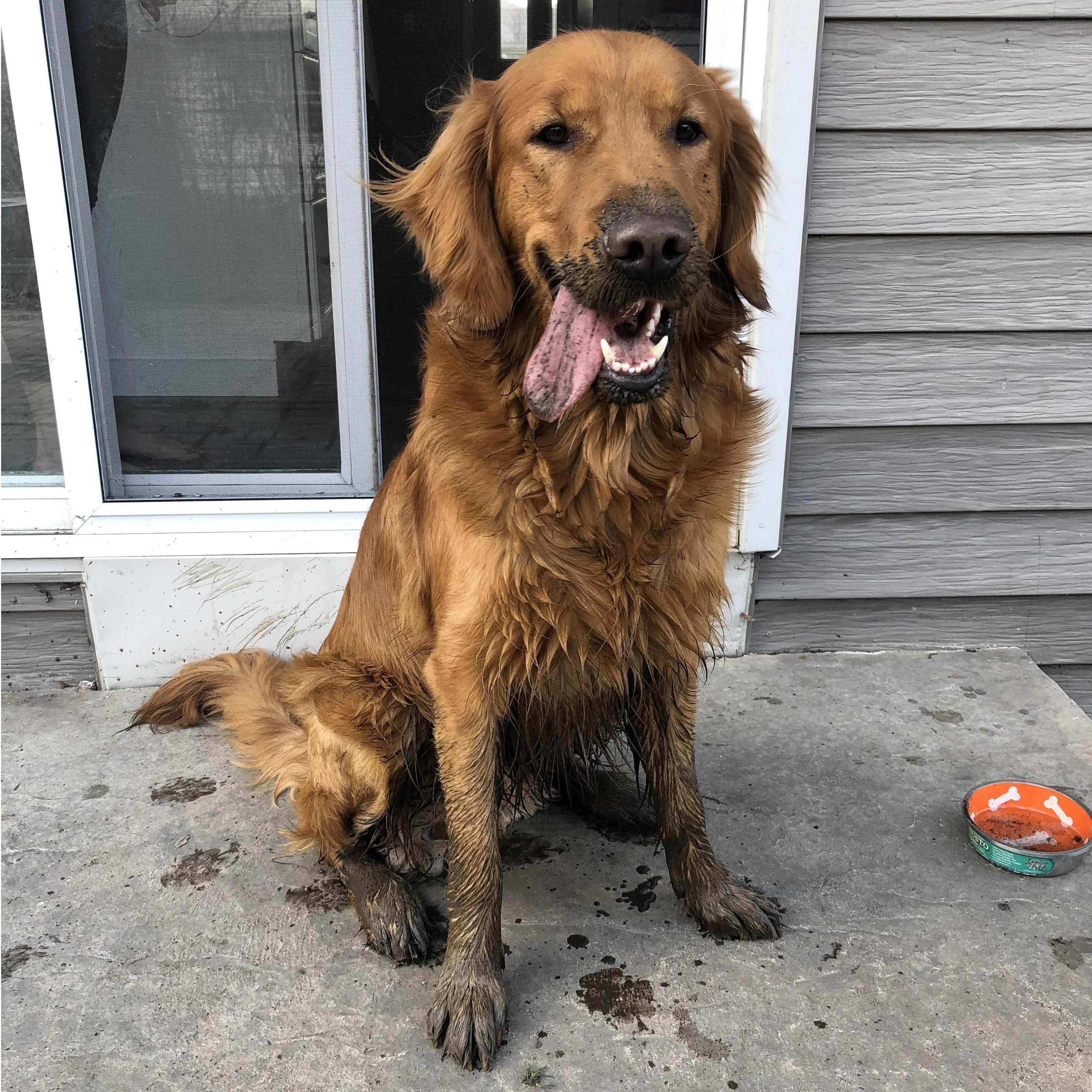 1 year later, still digging, even when messy, he melts our hearts!