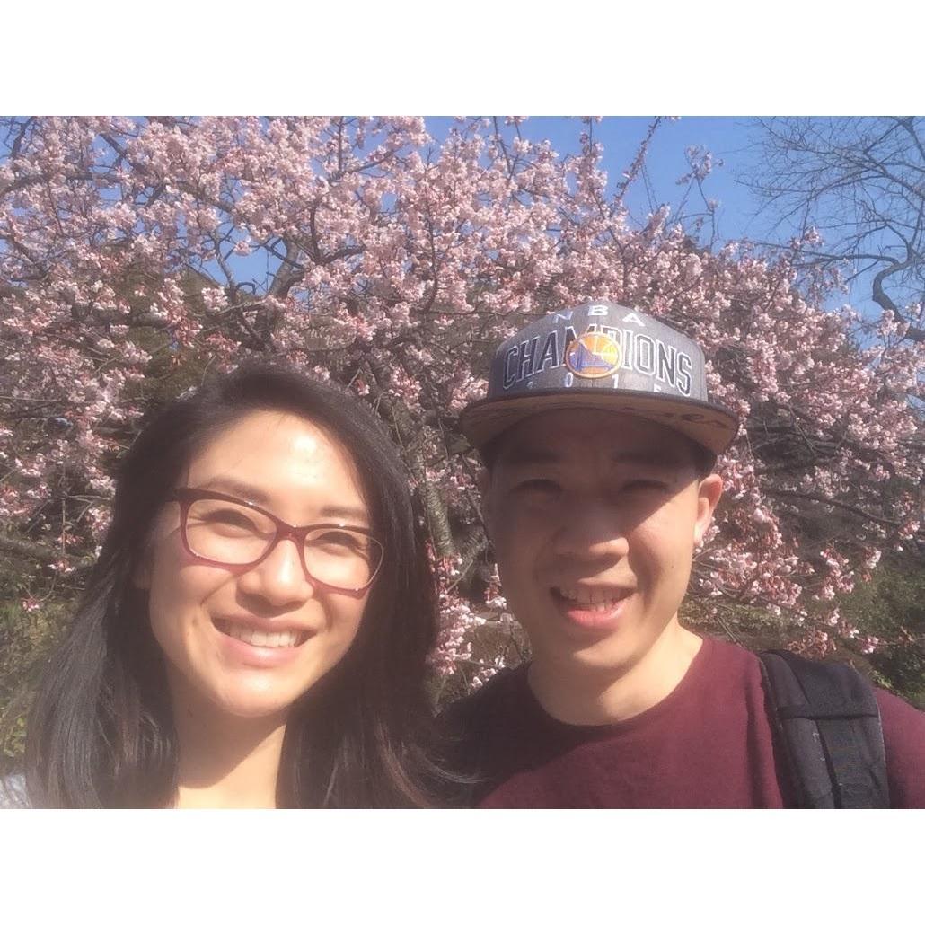 Flower Blossoms - Japan 2016