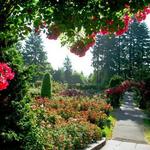 International Rose Test Garden