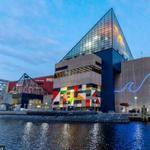 Visit the National Aquarium