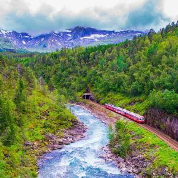 Train from Oslo to Bergen