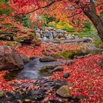 Minnesota Landscape Arboretum