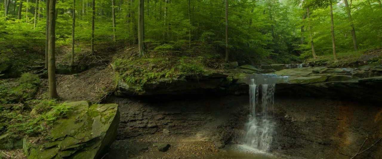 The Wedding Website of Lindsay Norwalk and Gavin Cozzens