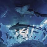 Riverhead Aquarium