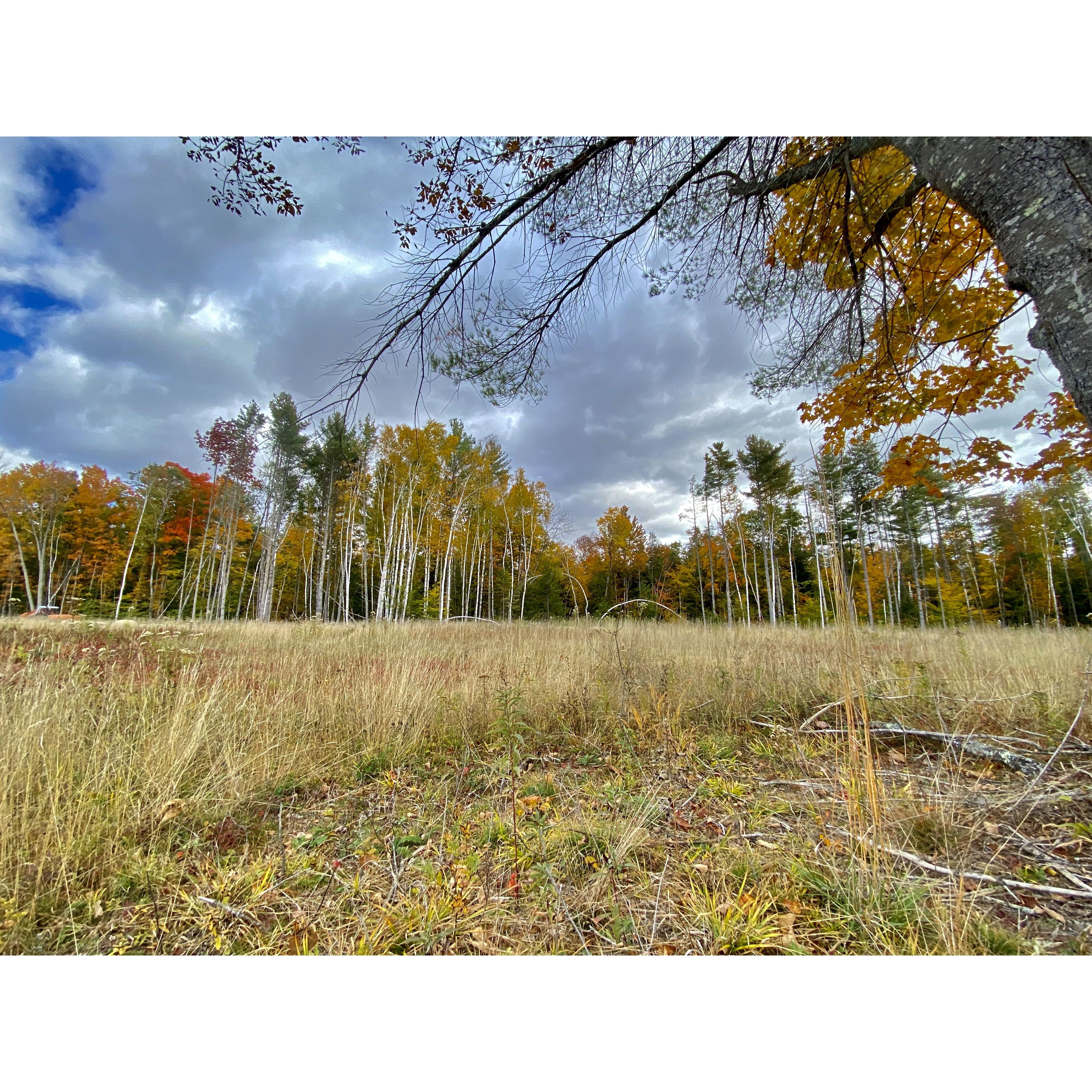 Our farm property where we'll be getting married.  Not too shabby if you like a nice foliage view from the expanse of a romantic meadow.